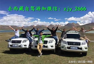 川藏線租車自駕游是否需要購買保險？